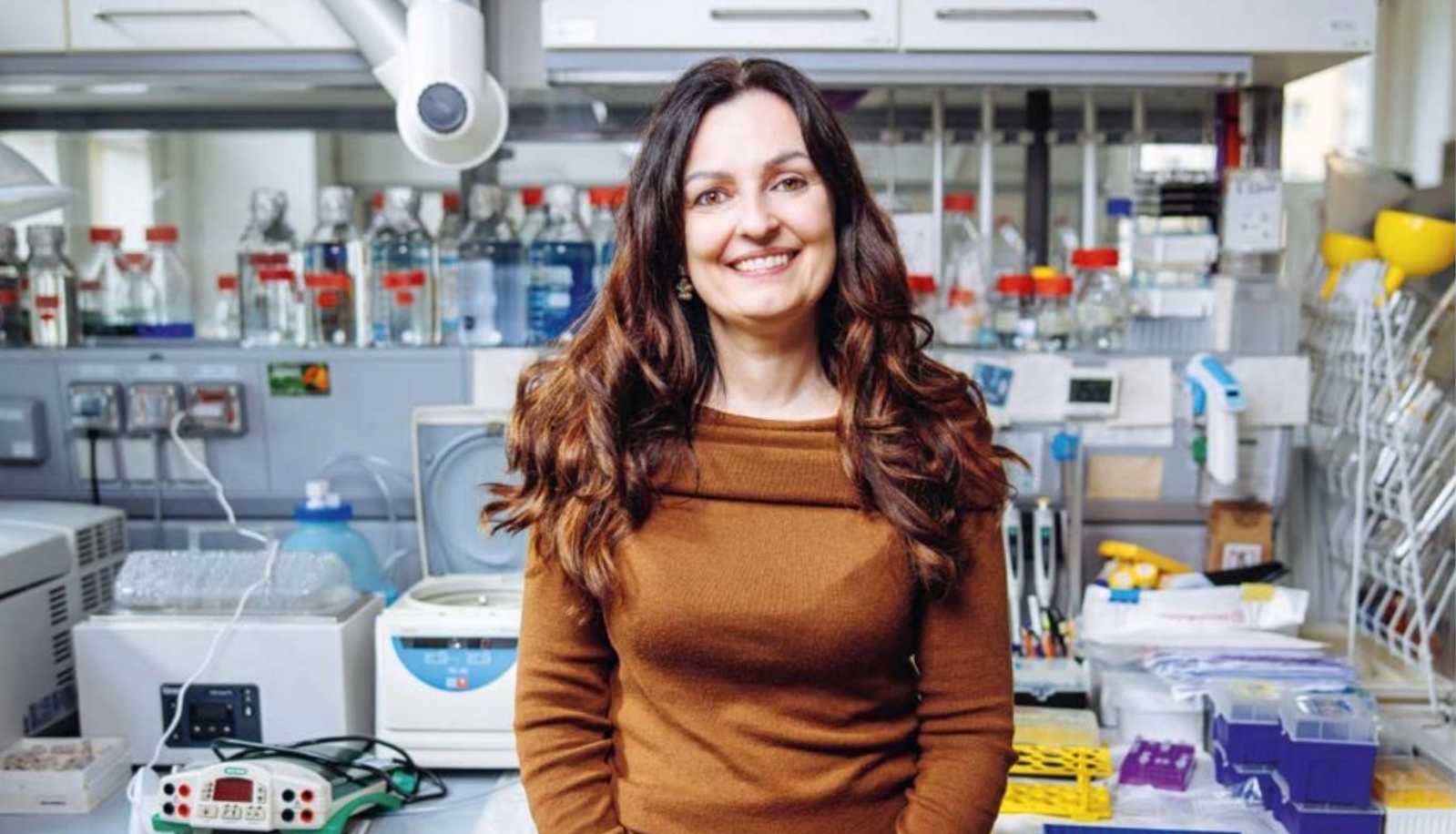 ilustrační obrázek